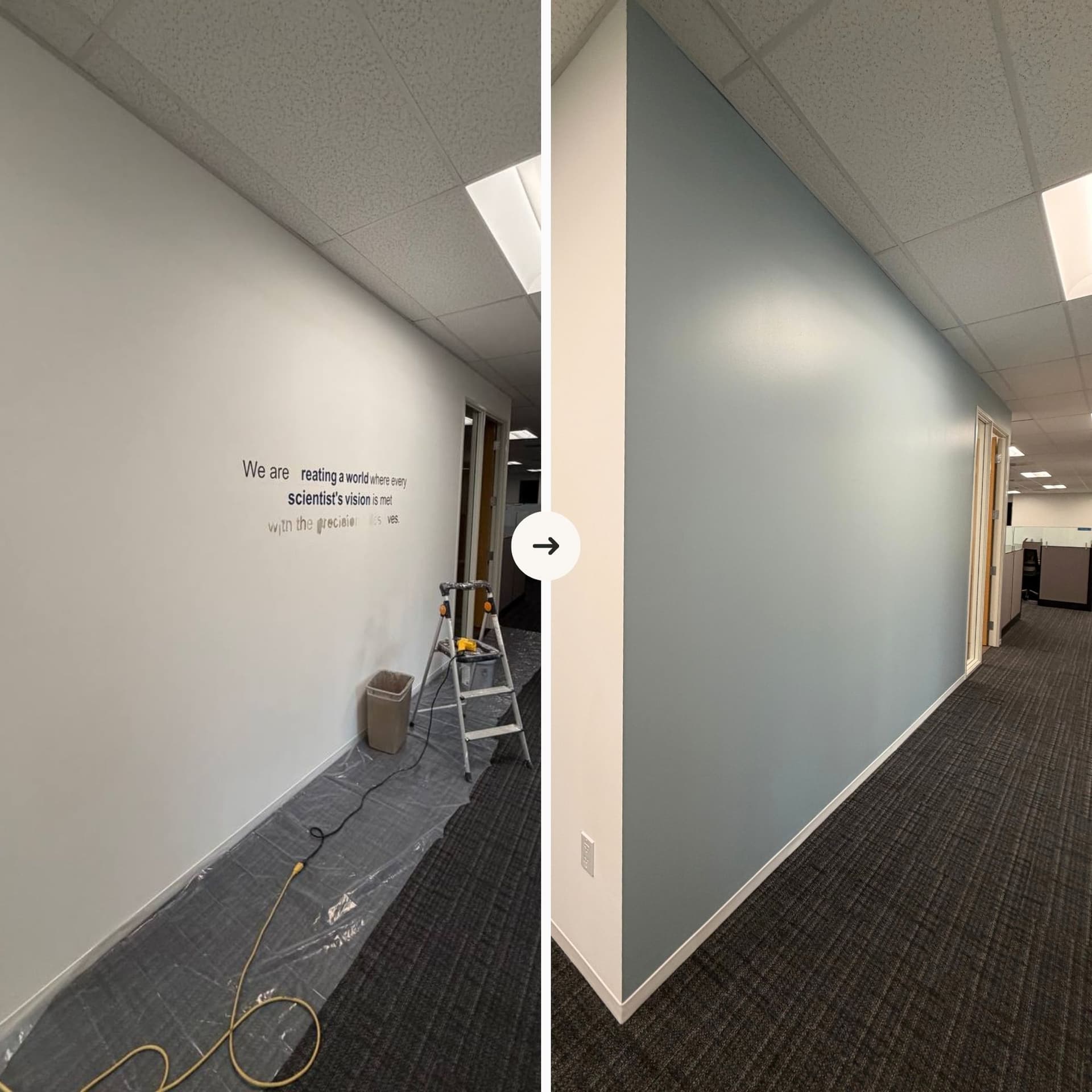Interior Painting photo 16