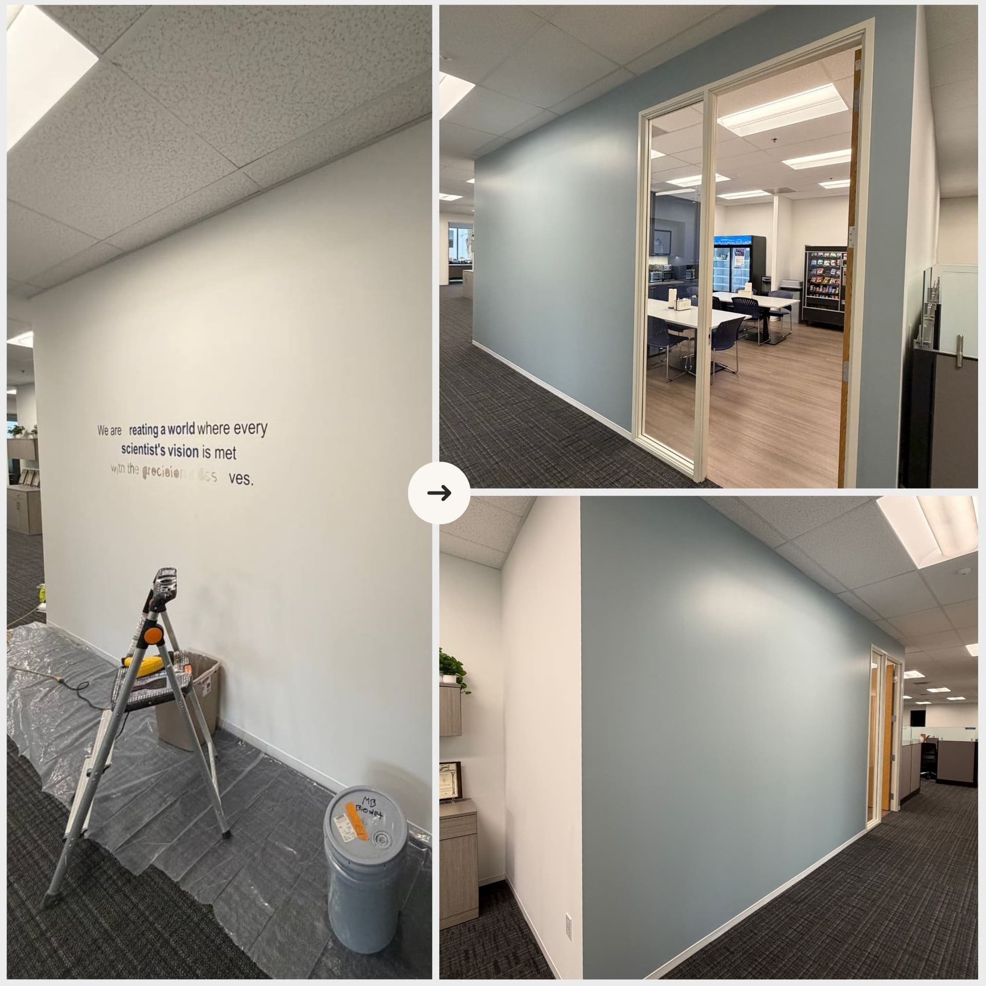 Interior Painting photo 18